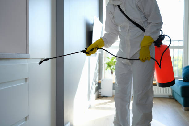 Best White Mold Remediation in Martins Additions, MD