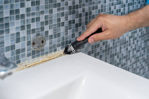 Best DIY Mold Remediation Support Services in Martins Additions, MD